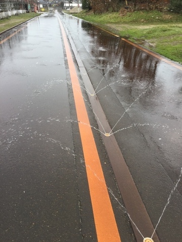 新潟村上雪の日だった