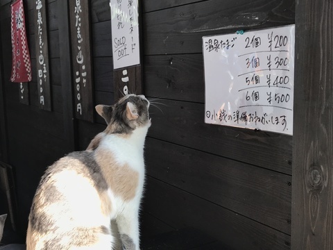 雲仙地獄温泉卵