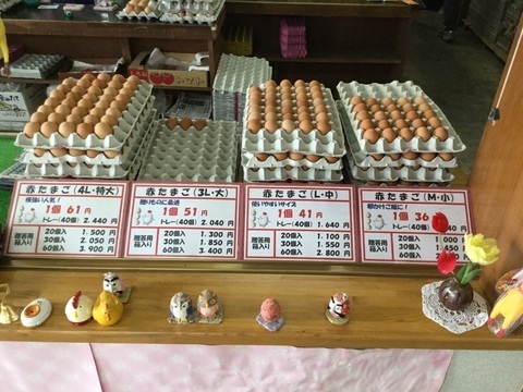 五泉市産みたて卵のキムラファーム赤卵