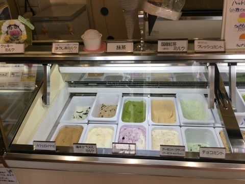 甲府絶品スイーツアイスクリームの氷華