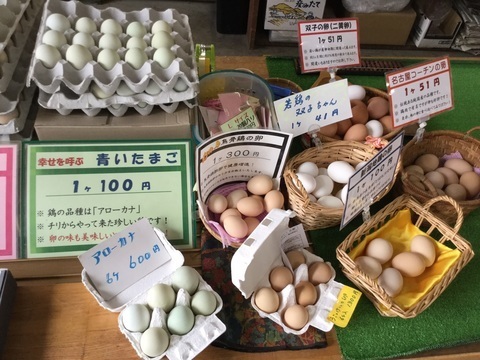 五泉市産みたて卵のキムラファーム色とりどりの卵