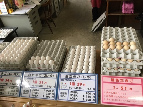 五泉市産みたて卵のキムラファーム白たまご